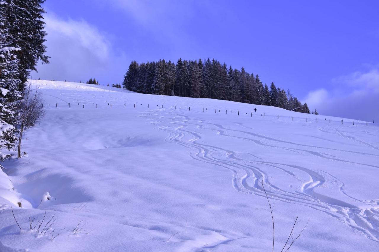Landhotel Anna Sankt Martin am Tennengebirge Zewnętrze zdjęcie